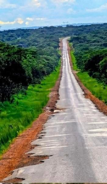 Rural road through green Zambian bush